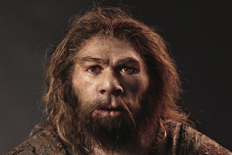 Nem tudtak kabátot készíteni, azért halhattak ki a neandervölgyiek